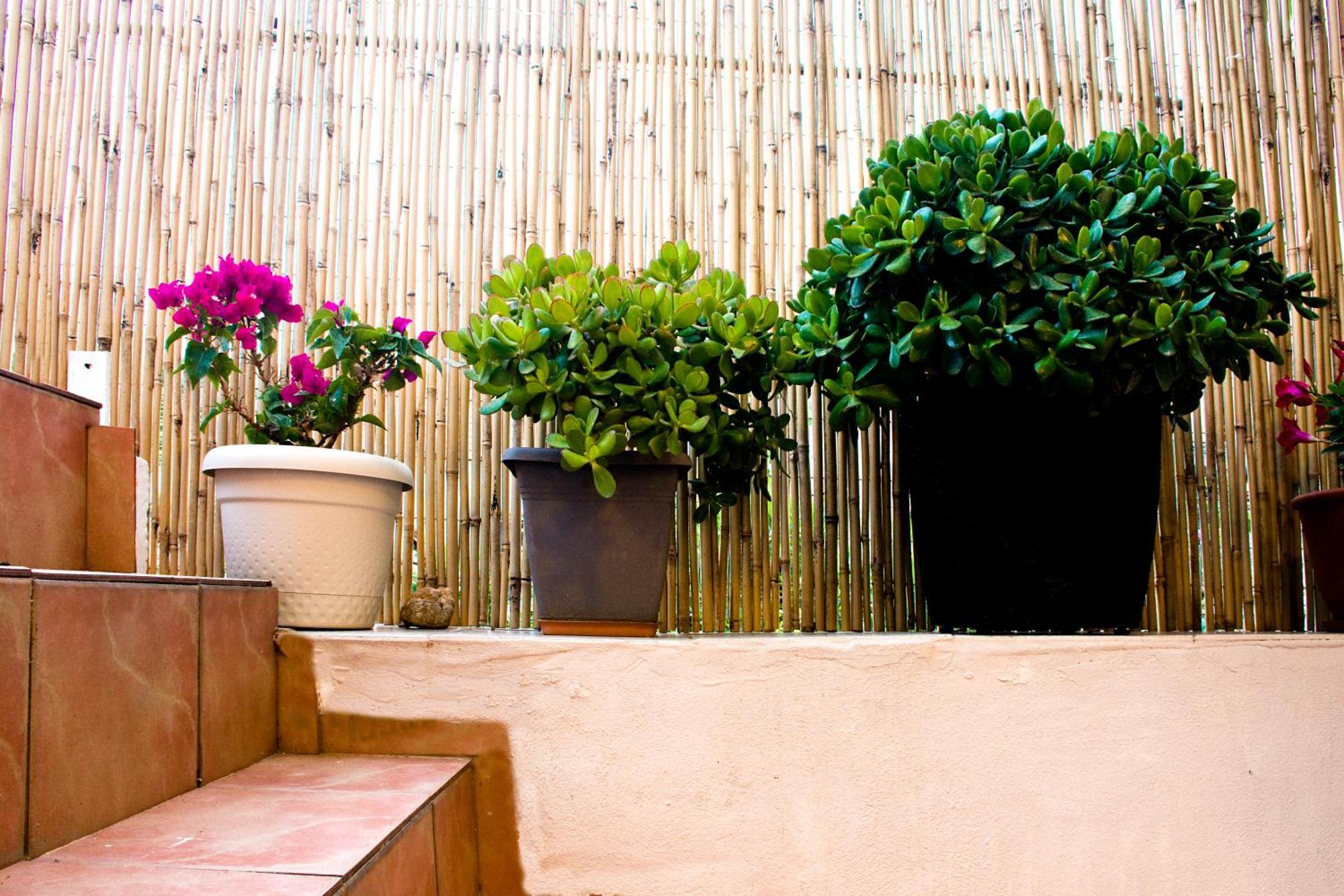 Lilian'S House Villa Chania  Exteriör bild